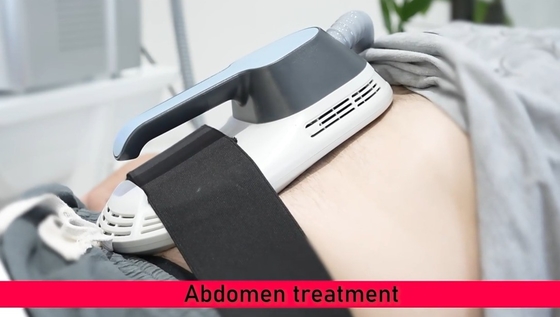 Komputer EMS Slimming Machine Profesjonalna maszyna do pielęgnacji skóry
