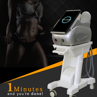 300us EMS Slimming Machine Standing Type High Intensity Focused EMS Body Sculpting Machine 300us EMS Slimming Machine Standing Type High Intensity Focused EMS Body Sculpting Machine