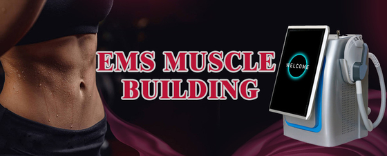 300us EMS Slimming Machine Standing Type High Intensity Focused EMS Body Sculpting Machine 300us EMS Slimming Machine Standing Type High Intensity Focused EMS Body Sculpting Machine