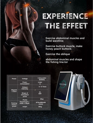 300us EMS Slimming Machine Standing Type High Intensity Focused EMS Body Sculpting Machine 300us EMS Slimming Machine Standing Type High Intensity Focused EMS Body Sculpting Machine